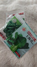 蔬菜種子套餐四季易種蔬菜種子陽(yáng)臺盆栽庭院夏秋冬季有機蔬菜種籽 大葉香菜+大葉菠菜+上海青 蔬菜種子各1包 曬單實(shí)拍圖