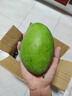 玖原農珍 源頭直采青皮金煌芒果當季現摘優(yōu)選甜心芒果 新鮮水果 含箱5斤凈重4.5斤優(yōu)選級果 曬單實(shí)拍圖