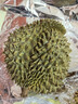 京東超市泰國液氮金枕榴蓮4.5-5.5斤液氮鎖鮮冷凍榴蓮新鮮水果 曬單實(shí)拍圖