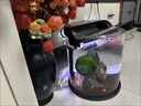 寵盒客廳魚(yú)缸超白智能水族箱家用造景側濾觀(guān)賞魚(yú)熱帶魚(yú)斗魚(yú)生態(tài)金魚(yú)缸 黑色圓型超白魚(yú)缸+造景大禮包 +豪華版濾材 曬單實(shí)拍圖
