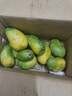 小臺農芒果【多地次日達】小芒果新鮮水果整箱應當季海南熱帶水果 特級果【單果100g+】 5斤裝【超劃算】?jì)糁?.5斤 曬單實(shí)拍圖