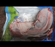 大莊園 進(jìn)口原切牛腱子 凈重2斤 草飼生鮮牛肉 【真原切】 曬單實(shí)拍圖