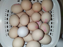 德青源可生食富硒葉黃素鮮雞蛋30枚1.5kg 無(wú)抗生素  家庭年貨禮盒 曬單實(shí)拍圖