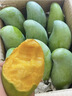 京鮮生云南新鮮玉芒 凈重8斤 單果200g＋ 新鮮芒果 源頭直發(fā)包郵 曬單實(shí)拍圖