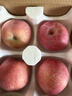 京地達煙臺棲霞紅富士蘋(píng)果凈重4.5斤單果約198g煙臺蘋(píng)果水果源頭直發(fā) 曬單實(shí)拍圖