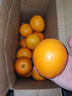 京覓秭歸蜂蜜紐荷爾臍橙9斤凈重150g+甜橙水果源頭直發(fā)包郵 曬單實(shí)拍圖