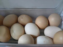 鮮雞蛋草雞蛋五谷喂養農家山林自養雞蛋超市買(mǎi)菜 鮮雞蛋10枚400g【泡沫防撞帶箱】 曬單實(shí)拍圖