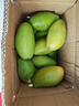 集南鮮 海南芒果 現摘大青皮黃皮金煌甜心芒果熱帶芒果新鮮時(shí)令生鮮水果 含箱10斤  250g起  凈重9斤 曬單實(shí)拍圖