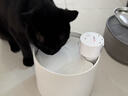喵享家貓咪智能陶瓷無(wú)線(xiàn)飲水機續航感應飲水器寵物水碗殺菌款6000mAh 曬單實(shí)拍圖