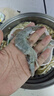 南美白對蝦 厄瓜多爾鹽凍大蝦 微信域爆款生鮮蝦類(lèi)火鍋食材 南美白對蝦5060/盒 3斤(凈重) 曬單實(shí)拍圖