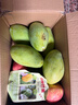 【爆甜】正宗越南金煌芒特大芒果甜心芒水仙芒大青芒應季新鮮水果 大果 2斤帶箱單果200g起(3-5個(gè)) 曬單實(shí)拍圖