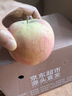 京地達新疆阿克蘇冰糖心櫻桃蘋(píng)果水果凈重8斤單果80mm源頭直發(fā)包郵 曬單實(shí)拍圖