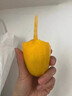 海南金煌芒水仙芒果應當季新鮮熱帶水果孕婦大青甜心芒整箱生鮮 9斤 精選特大果【400g+】 曬單實(shí)拍圖