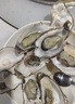 鮮活乳山生蠔新鮮牡蠣海蠣子5斤箱 5X特大蠔（15-21只每箱）凈重10斤生蠔 曬單實(shí)拍圖