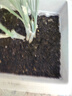 史丹利種菜專(zhuān)用土營(yíng)養土陽(yáng)臺種菜泥炭有機土家用土壤蔬菜種土種植土10L 曬單實(shí)拍圖