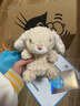 Jellycat米色甜美小兔小短腿公仔動(dòng)物毛絨玩偶娃娃送禮生日禮物 甜美小兔 One Size 曬單實(shí)拍圖