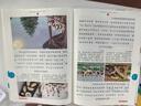 2026春年級閱讀二年級下冊（第6版） 小學(xué)生繪本課堂年級閱讀同步閱讀理解課外閱讀專(zhuān)項訓練 小學(xué)繪本課堂年級閱讀 曬單實(shí)拍圖
