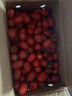 廣西紅色圣女果小番茄新鮮水果沙拉新鮮 超實(shí)惠帶箱5斤凈重4.7斤 曬單實(shí)拍圖
