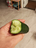 京鮮生 山東瑪莎水果小黃瓜 凈重3斤單果50g+新鮮蔬菜減脂健身 源頭直發(fā) 曬單實(shí)拍圖