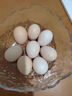 趣嘗鮮五谷鮮雞蛋15枚/盒 凈重750g 源頭直發(fā) 曬單實(shí)拍圖