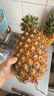 京鮮生 海南金鉆鳳梨 4粒裝 單果2斤起 生鮮水果 曬單實(shí)拍圖
