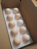 幸福遙可生食標準鮮雞蛋10枚 450g 谷物喂養早餐食材 源頭直發(fā) 曬單實(shí)拍圖