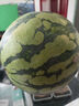 京鮮生 麒麟無(wú)籽西瓜 1粒裝 凈重7-9斤 生鮮水果 曬單實(shí)拍圖