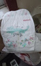 好奇（Huggies）皇家小龍褲紙尿褲M(mǎn)46(6-11kg)尿不濕【柔吸防漏王】 曬單實(shí)拍圖