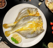東方甄選黃魚(yú)鲞福建寧德三去大黃魚(yú)半成品冷凍魚(yú)生鮮海鮮黃魚(yú)黃花魚(yú) 【到手5條】黃魚(yú)鲞 1.3kg *1袋 曬單實(shí)拍圖