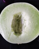 京鮮生 玉菇甜瓜 2粒裝 單果重2-2.8斤凈重4-5.5斤 水果禮盒 曬單實(shí)拍圖