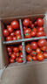 廣西露天圣女果櫻桃小番茄即食水果西紅柿新鮮蔬菜應季整箱批發(fā)價(jià) 帶箱5斤 4.5斤 凈重 曬單實(shí)拍圖