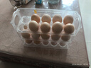 家の物語(yǔ)（KATEI STORY）日本側門(mén)雞蛋收納盒冰箱用食品級保鮮盒廚房整理專(zhuān)用裝放蛋托神器 曬單實(shí)拍圖