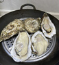 鮮活乳山生蠔新鮮牡蠣海蠣子5斤箱 5X特大蠔（15-21只每箱）凈重10斤生蠔 曬單實(shí)拍圖