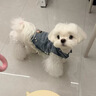湯尼熊 TAWNEYBEAR狗狗衣服牛仔衣襯衫馬甲寵物雪納瑞馬爾濟斯約克夏春泰迪比熊柴犬 牛仔馬甲【刺繡小狗】 XS丨背長(cháng)22胸圍33建議2-3斤 曬單實(shí)拍圖