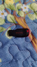 閃迪（SanDisk）閃迪U盤(pán)2g高速足量4g優(yōu)盤(pán) 超輕婚慶8g投標16g車(chē)載32G迷你加密商務(wù) 藕色 16g 曬單實(shí)拍圖