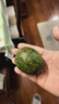 山姆大叔 金獎·哈斯牛油果【閃送】智利鱷梨非即食新鮮牛油果水果禮盒裝 【80%選擇】精品果丨約100-130g 8枚【80%選擇-狠劃算】普裝 曬單實(shí)拍圖
