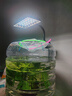 尼奧光（NEO-HELIOS）魚(yú)缸燈水草燈LED燈S3pro+RGB植物光譜 【二代】8W尼奧S3【適用20-30魚(yú)缸】 曬單實(shí)拍圖