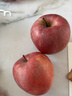 2025正宗云南昭通冰糖心丑蘋(píng)果新鮮水果蘋(píng)果當季脆甜水果產(chǎn)地直發(fā) 帶箱9斤凈重8斤裝特大果（80-100mm） 曬單實(shí)拍圖