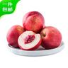 京鮮生 智利進(jìn)口白肉油桃 3斤裝 單果約125g+ 源頭直發(fā) 包郵 曬單實(shí)拍圖