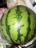 小蘭黃瓤冰淇淋西瓜1粒約2.5kg  曬單實(shí)拍圖
