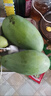 京覓云南大青芒 5斤單果600g+  生鮮新鮮水果 源頭直發(fā) 曬單實(shí)拍圖