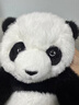 捉趣（ZHUOQU）熊貓毛絨玩具五月齡花花仿真熊貓玩偶公仔布娃娃抱枕元旦新年禮物 曬單實(shí)拍圖