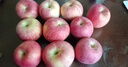 佳農 煙臺紅富士蘋(píng)果 凈重10斤大果 果徑80-85mm 生鮮水果 曬單實(shí)拍圖