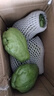 云南佛手瓜新鮮現摘佛手瓜農家佛手瓜有刺洋瓜蔬菜洋絲瓜福壽瓜 新鮮佛手瓜 3斤 曬單實(shí)拍圖