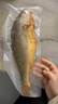 鮮京采冷凍三去黃花魚(yú)(寧德大黃魚(yú))1700g(5條裝)禮盒 曬單實(shí)拍圖