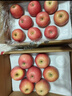 京鮮生 煙臺紅富士蘋(píng)果 凈重10斤 單果220g以上 禮盒裝 生鮮水果 曬單實(shí)拍圖