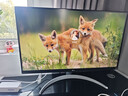 LG 27UP600K 27英寸 4K顯示器 HDR400 IPS面板 微邊框 設計繪圖 程序員 液晶臺式電腦顯示屏 27UP600K【新品27英寸4K】 曬單實(shí)拍圖