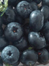 【當季限定】云南9分甜花香大藍莓250g 18mm+ 曬單實(shí)拍圖