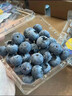 山姆大叔云南花香藍莓【JD/順豐/中通-多地次日達】新鮮藍莓脆甜水果禮盒 【店長(cháng)力薦-80%選】嚴選果｜單果15-18mm 125g*6盒裝【家庭分享-超值】?jì)?00g 曬單實(shí)拍圖