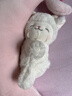 名創(chuàng  )優(yōu)品（MINISO）羊咩咩系列-暖白小羊公仔毛絨玩偶兒童玩具抱枕生日禮物女 月亮款 曬單實(shí)拍圖